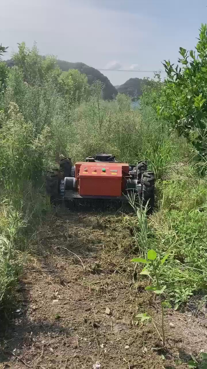Remote control lawn mower mowing grasses