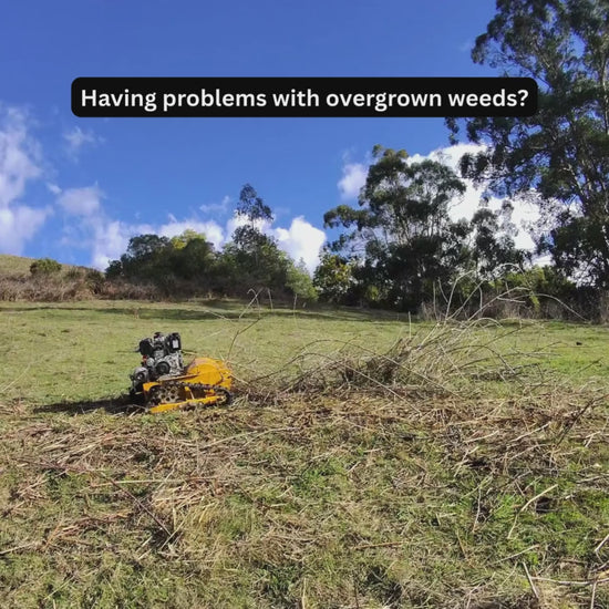 Rhino remote control flail mower cutting poisoned blackberries on a steep hill at Trida, Victoria..  For more information www.rebelmowers.com.au