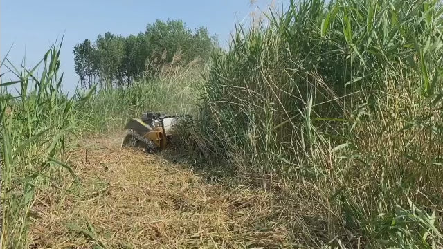 Remote Control Lawn Mower cutting grasses
