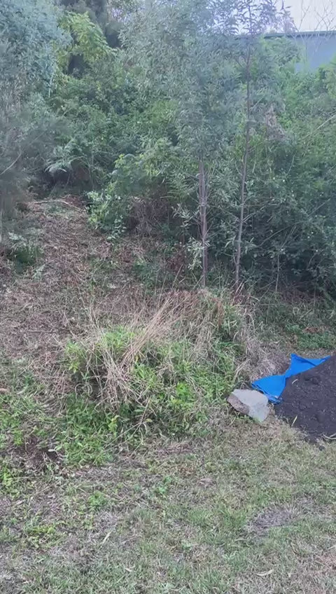 Playing with remote controlled mowers in Southern Queensland. www.rebelmowers.com.au